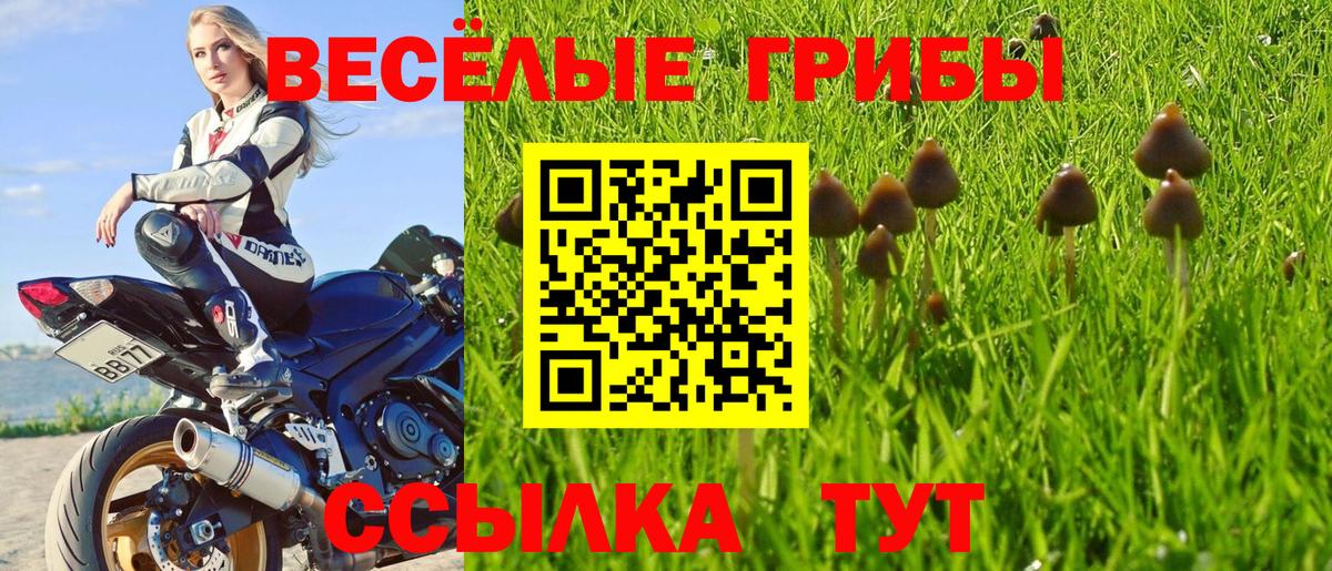 где можно купить   Псилоцибиновые грибы MAGIC MUSHROOMS  Вход с VPN  Ульяновск  Галлюциногенные грибы мухоморы 